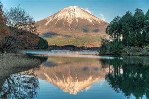 ゲッターズ飯田 パワースポット 静岡: なぜ富士山はパワースポットとして特別なのか？