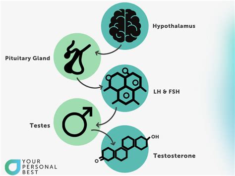 オナニー 男性ホルモン: 自己満足と身体の化学的相互作用